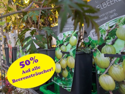 pxl_20251105_094645165